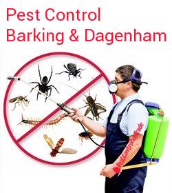pest control Barking & Dagenham