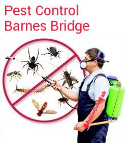 pest control Barnes Bridge