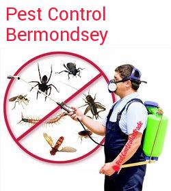 pest control Bermondsey