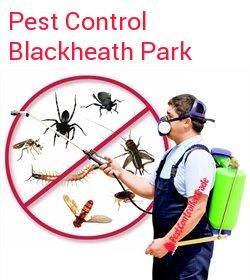 pest control Blackheath Park