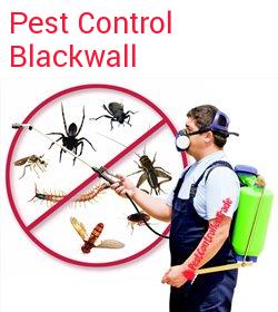 pest control Blackwall