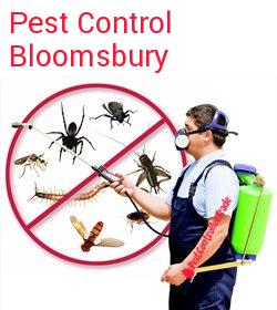 pest control Bloomsbury
