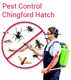 pest control Chingford Hatch