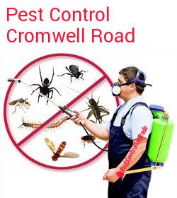 pest control Cromwell Road
