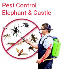 pest control Elephant & Castle
