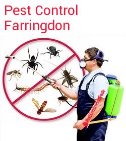 pest control Farringdon