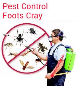 pest control Foots Cray