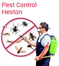 pest control Heston