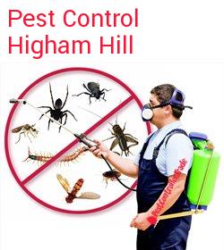pest control Higham Hill