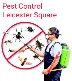 pest control Leicester Square