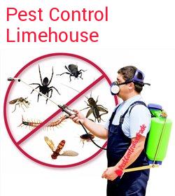 pest control Limehouse