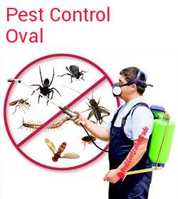 pest control Oval