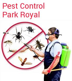 pest control Park Royal