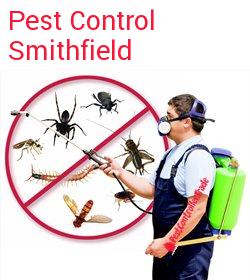 pest control Smithfield