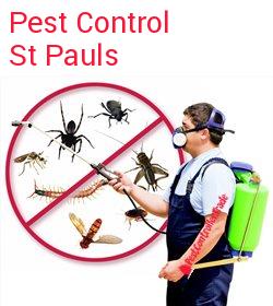 pest control St Pauls