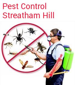 pest control Streatham Hill