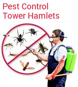 pest control Tower Hamlets