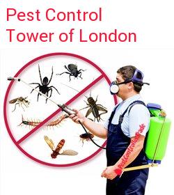 pest control Tower of London