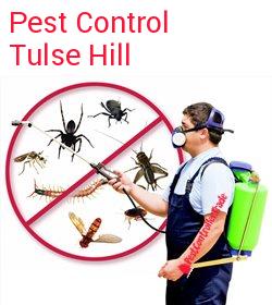 pest control Tulse Hill