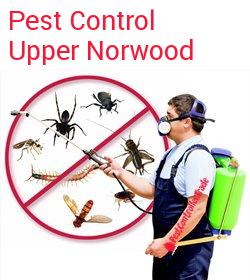 pest control Upper Norwood