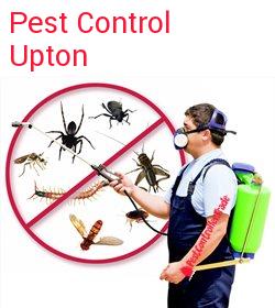 pest control Upton