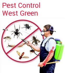 pest control West Green