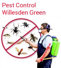 pest control Willesden Green