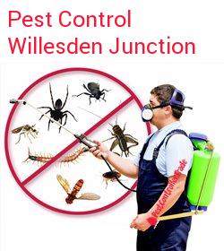 pest control Willesden Junction