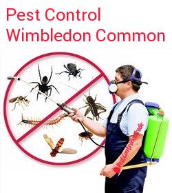 pest control Wimbledon Common
